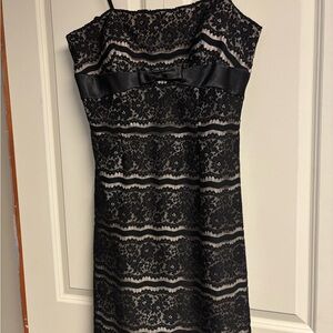 Black Lace Overlay Sheath Dress